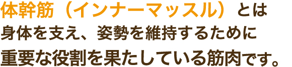 体幹筋（インナーマッスル）とは身体を支え、姿勢を維持するために重要な役割を果たしている筋肉です。